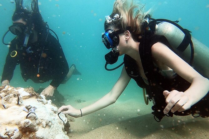 Beginner Scuba Diving Experience With Videos in West Palm Beach - The 3-Foot Warm-Up: Learning Breathing While You Still Feel Safe
