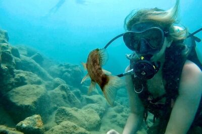 Beginner Scuba Diving Experience With Videos in West Palm Beach - Gear Setup and the 10–15 Minute Fundamentals Briefing