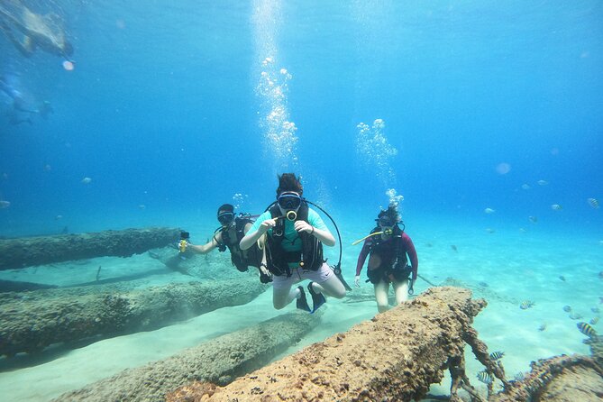 Beginner Scuba Diving Guided Tour - No Experience Required - Key Points Worth Booking