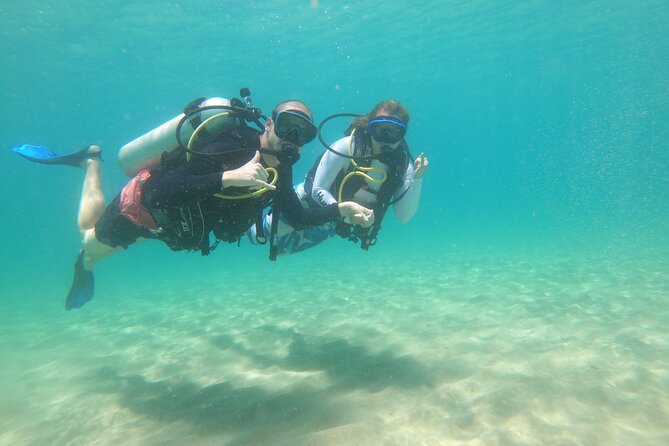 Beginner Scuba Diving Guided Tour - No Experience Required - Your Two-Hour Flow: From Training to Spotting Coral and Fish