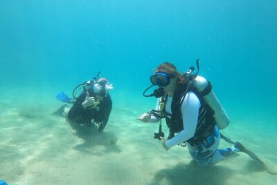 Beginner Scuba Diving Guided Tour - No Experience Required - Gear Is Included: What That Means for First-Timers