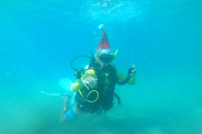 Beginner Scuba Diving Guided Tour - No Experience Required - Photos and Video: Getting Proof Without Being a Photographer