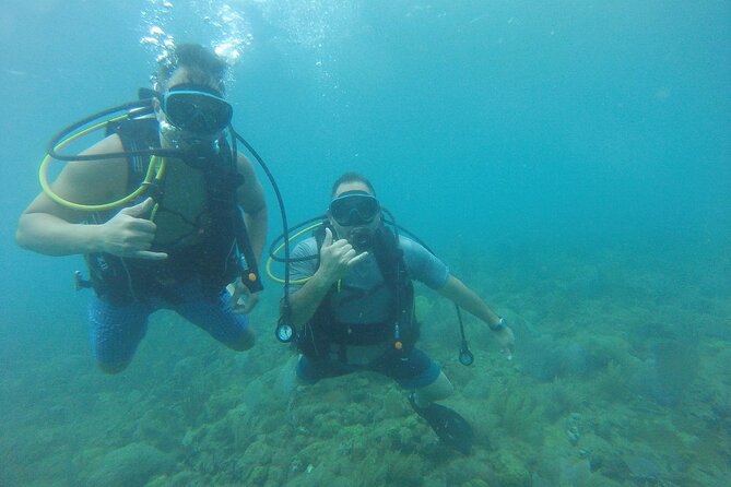 Beginner Scuba Diving Guided Tour - No Experience Required - Price and Value: Is $99 Worth a Private Lesson?