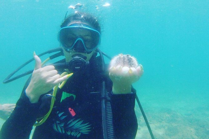 Beginner Scuba Diving Guided Tour - No Experience Required - Who This Tour Fits Best (and Who Should Plan Extra Carefully)