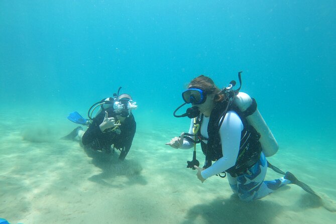 Beginner Scuba Diving Guided Tour - No Experience Required - Gear Is Included: What That Means for First-Timers