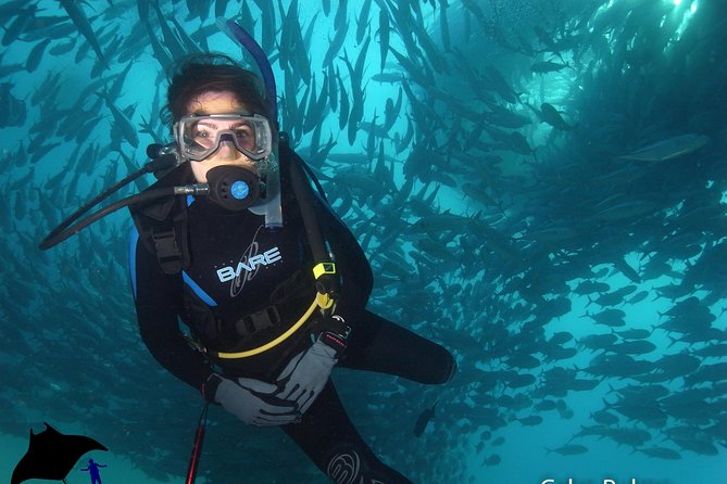 Beginner Scuba Diving in Cabo San Lucas - Two Underwater Spots: Manta Area and the Arch of Cabo San Lucas