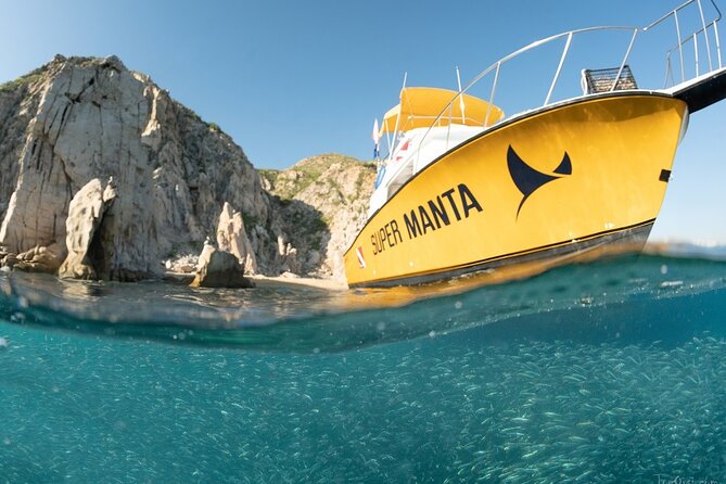 Beginner Scuba Diving in Cabo San Lucas - Your Instructor: What PADI Coaching Looks Like in Real Life