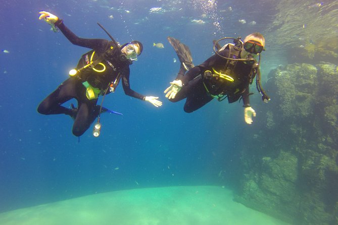 Beginner Scuba Diving in Cabo San Lucas - The 4-Hour Flow: Check-In to Water Time