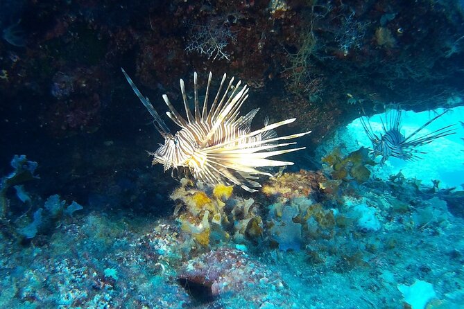 Beginners Discover Scuba Diving By Boat, Best Spot In Cyprus - Beginner scuba lessons from Paphos that feel like a trip, not a class