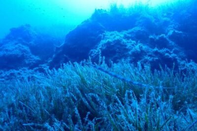 Beginners Discover Scuba Diving By Boat, Best Spot In Cyprus - Gear-up and briefing: how your instructor sets you up to succeed