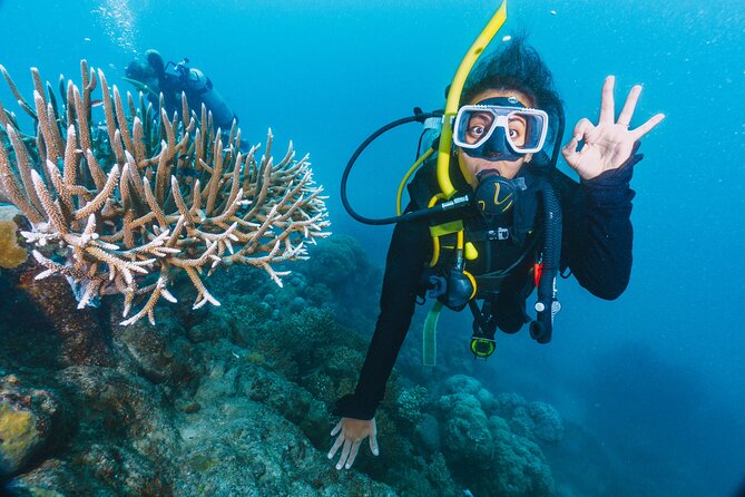 Beginners Scuba Diving, 2 Stops, Full Day Trip & Lunch - Hurghada - Two Scuba Stops, One Full Day on the Red Sea