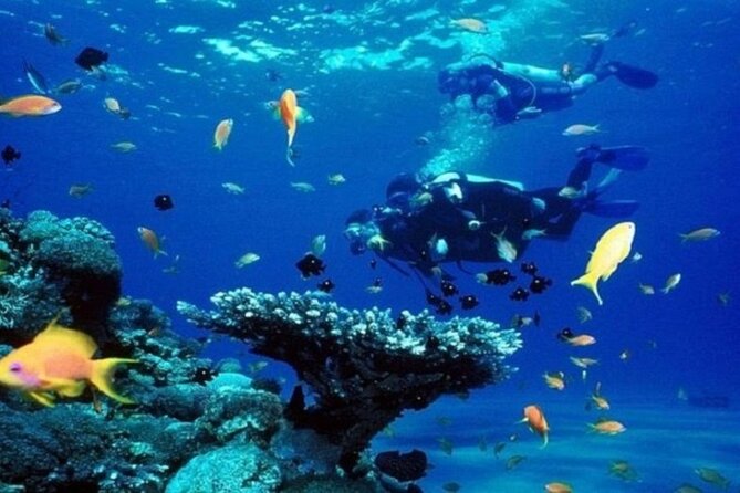 Beginners Scuba Diving, 2 Stops, Full Day Trip & Lunch - Hurghada - Instructor Attention and Group Size: What You Should Expect