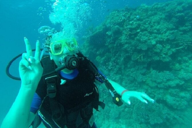 Beginners Scuba Diving, 2 Stops, Full Day Trip & Lunch - Hurghada - Where This Trip Fits Best (and Who Might Look Elsewhere)