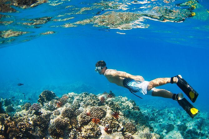 Beginners Scuba Diving Boat Trip With Equipment & lunch -Hurghada - Safety Briefing and Gear: The Part That Makes or Breaks a First Time