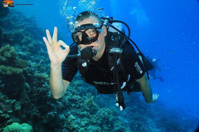 Beginners Scuba Diving Boat Trip With Equipment & lunch -Hurghada - On the Boat: Crew Attention and a Comfortable Setup