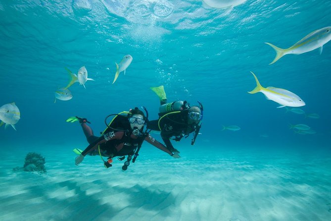Beginners Scuba Diving Experience in Gran Canaria - What You Do in 2 Hours: Skills First, Reef Second