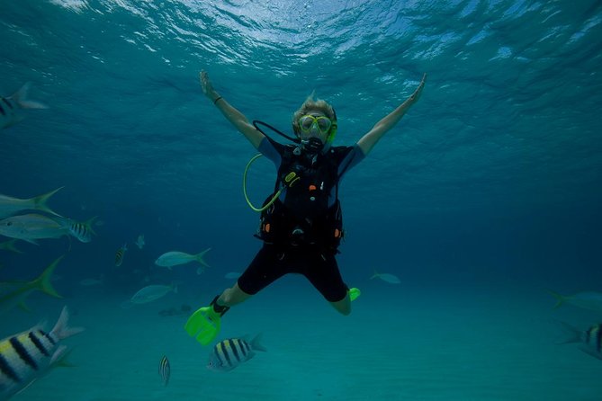Beginners Scuba Diving Experience in Gran Canaria - Safety and Comfort: Small Groups and Patient Instructors