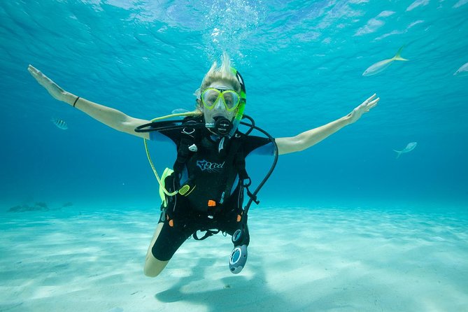 Beginners Scuba Diving Experience in Gran Canaria - Shallow-Water Skills in the Harbour: Breathing Control