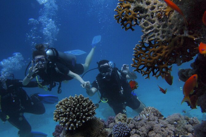 Belek Scuba Diving Experience (2 Dives) With Lunch - Two Underwater Sessions, One Organized Day