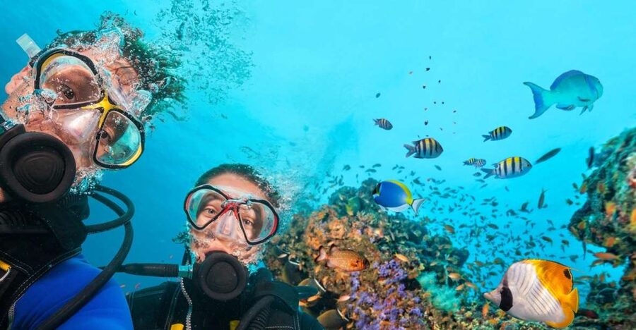 Belek: Scuba Diving in the Mediterranean Sea - Belek to Kemer: The Real Logistics Behind the 10 Hours