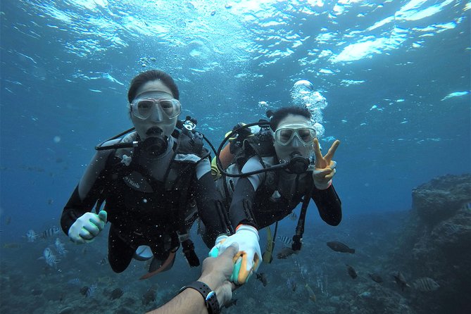 Blue Cave Area Experience Diving!Free feeding & photo images Chinese guide available!1 group with a dedicated instructor - Key points at a glance
