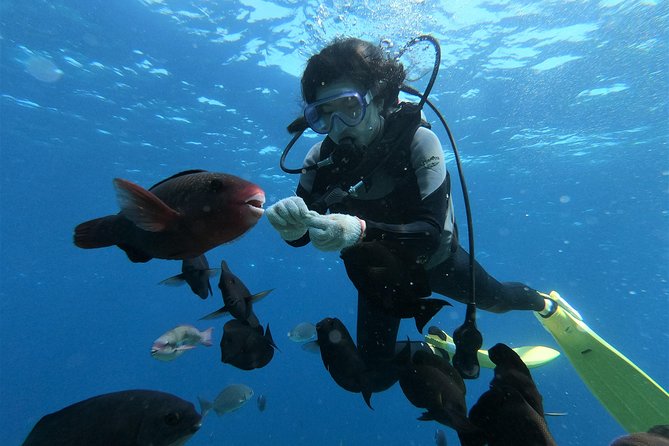Blue Cave Area Experience Diving!Free feeding & photo images Chinese guide available!1 group with a dedicated instructor - Price and Value: What $46.12 Covers and What’s Extra