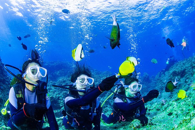 Blue Cave Introductory Dive–Private Guide, Boat Tour&Free Photos - Why the Blue Cave is worth planning around