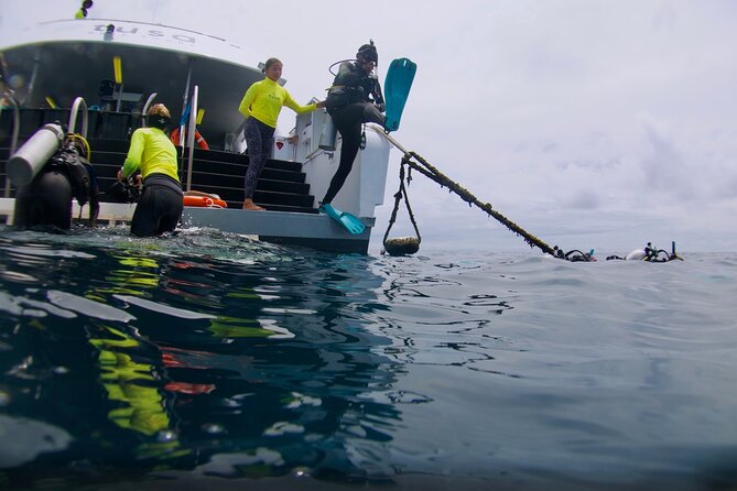 Blue Dive Private Guided Scuba Dive Cairns - Private reef time in Cairns: what you’re really paying for
