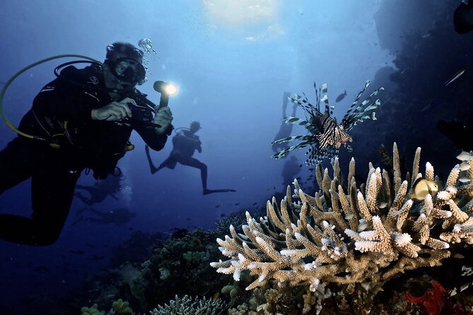 Blue Dive Private Guided Scuba Dive Cairns - Norman, Saxon, or Hastings Reefs: what your day looks like in the water