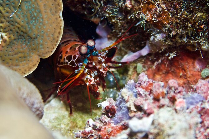 Blue Dive Private Guided Scuba Dive Cairns - Gear, wetsuits, and the support that makes first-time stress shrink