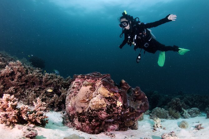 Blue Dive Private Guided Scuba Dive Cairns - Who should book this Cairns reef outing