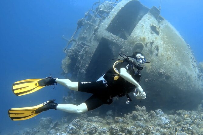 Boat Dive 2 Guided Dives with Lunch Included wreck dive&reef dive - Guided coaching that helps first-timers feel steady