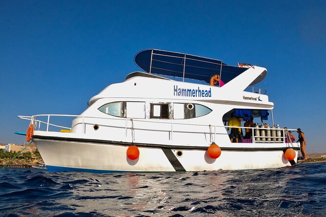 Boat Dive and Snorkeling Experience in Aqaba - The Second Stop: Snorkel Time and Wreck-Inspired Reef Viewing