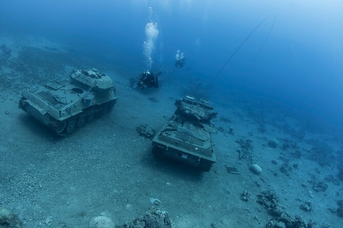Boat Dive and Snorkeling Experience in Aqaba - Price and Value: Is $123.19 a Smart Deal?