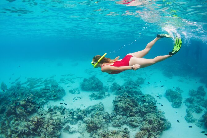 Boat Dive and Snorkeling Experience in Aqaba - Should You Book This Boat + Snorkel Package in Aqaba?