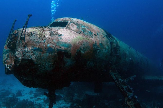 Boat Dive Shipwreck/ Airplanes/ Reef /2 tanks - Quick Hits Before You Go