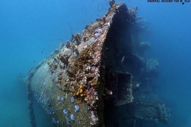 Boat Dive Shipwreck/ Airplanes/ Reef /2 tanks - Two Tanks, One Boat: The Core Idea Behind This Aruba Trip