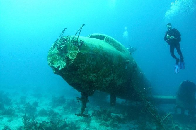 Boat Dive Shipwreck/ Airplanes/ Reef /2 tanks - Stop One: The Jane Sea Shipwreck (What to Expect)