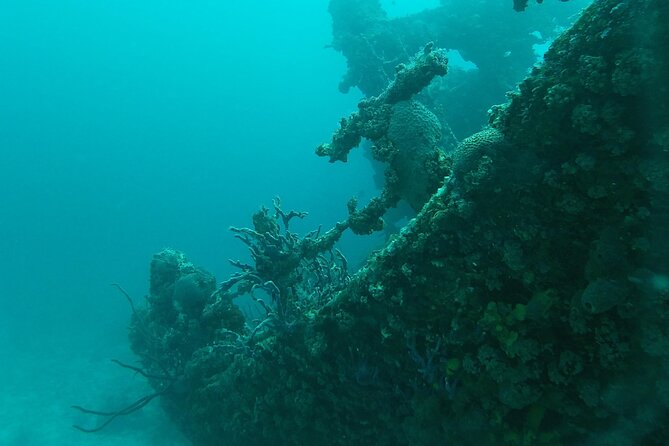 Boat Dive Shipwreck/ Airplanes/ Reef /2 tanks - The Small-Group Factor: Why Up to 3 People Changes the Day