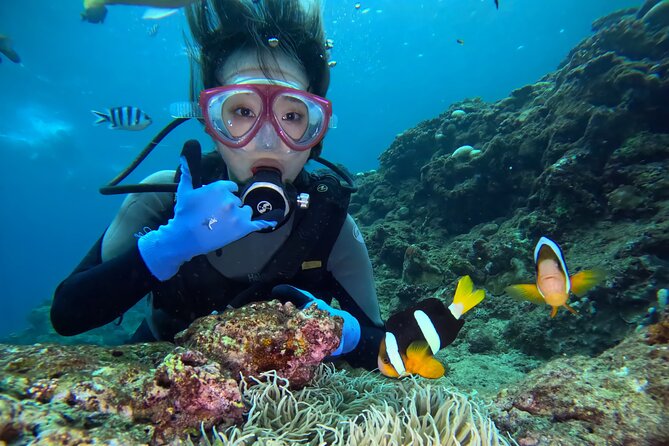 Boat entry diving at the Blue Cave in Onna Village, Okinawa! - Price and what you really get for $51.89