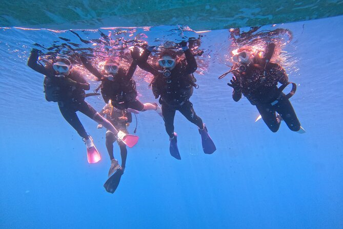 Boat entry diving at the Blue Cave in Onna Village, Okinawa! - Equipment rental and the GoPro plan (so you actually get photos)