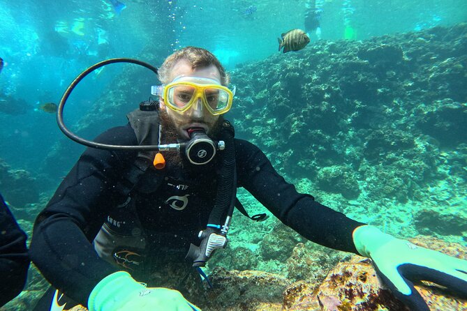 Boat entry diving at the Blue Cave in Onna Village, Okinawa! - How guides keep it safe for beginners (and still fun for experienced guests)