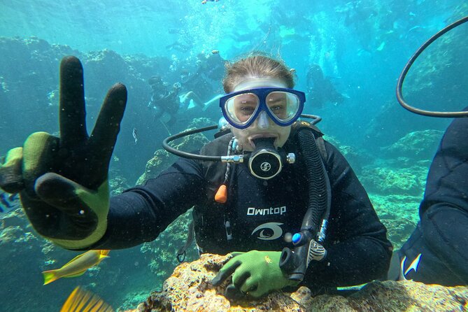 Boat entry diving at the Blue Cave in Onna Village, Okinawa! - Photos, videos, and getting something you’ll actually keep