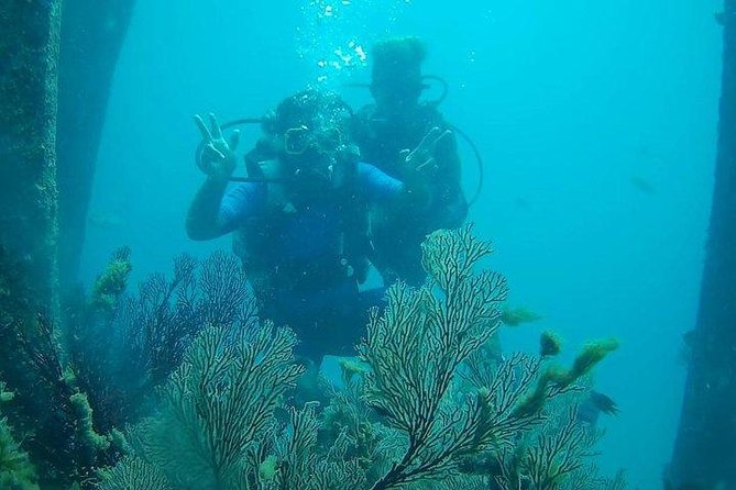 Boat Scuba Diving at Neil Island - Bharatpur Beach Setup: What the Morning Really Looks Like