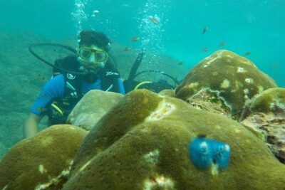 Boat Scuba Diving at Neil Island - Before You Go Under: Training, Safety, and Instructor Control