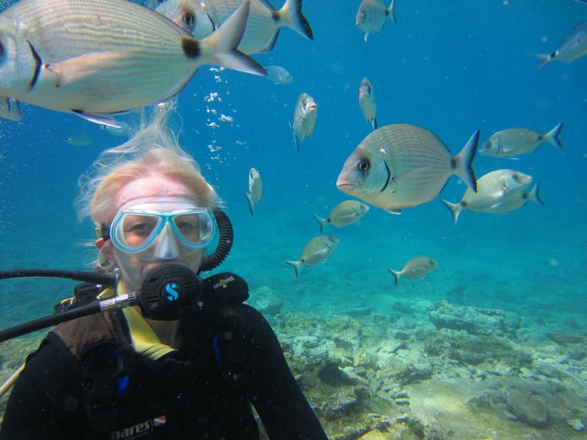 Bodrum: Scuba Diving Trip with Lunch - Key things I’d focus on before you go