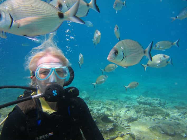 Bodrum: Scuba Diving Trip with Lunch - Pickup from Bodrum, Icmeler, or Gümbet