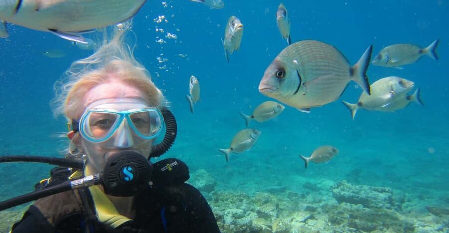 Bodrum: Scuba Diving Trip with Lunch - The 25-minute underwater session: what you’ll likely see