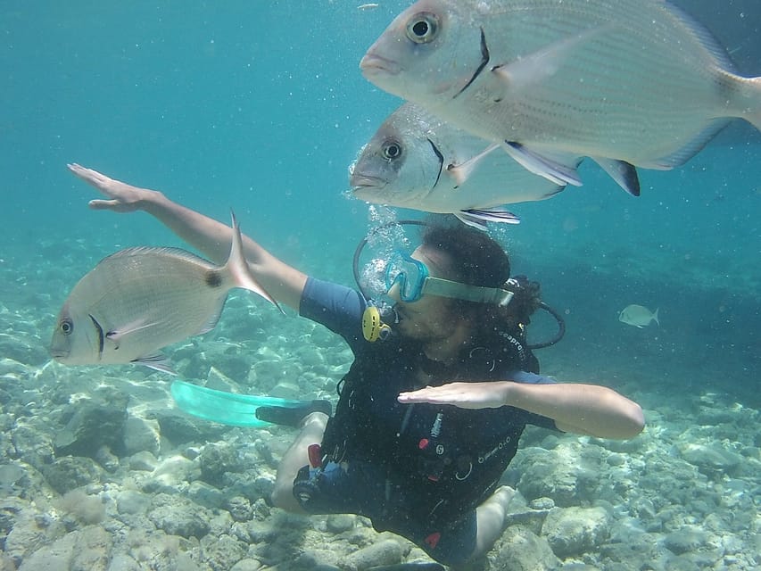 Bodrum: Scuba Diving Trip with Lunch - Halikarnas Harbour meeting point: get there early