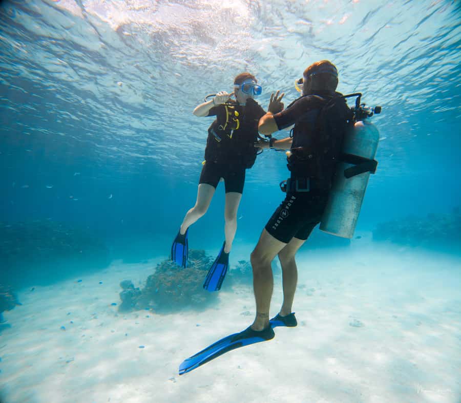Bora Bora: Introductory Dive - Key things that make this intro scuba worth it